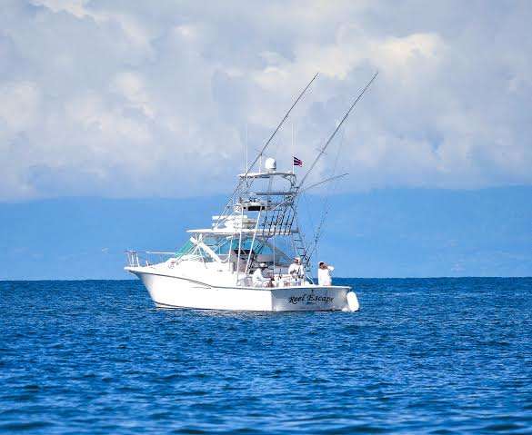 Come fish the drakes bay and see what you might catch, many species are available.