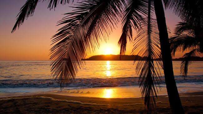 While visiting Puerto Carrillo you can book a sport fishing adventure.