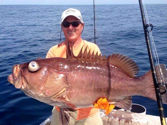 Grouper sportfishing in Costa Rica