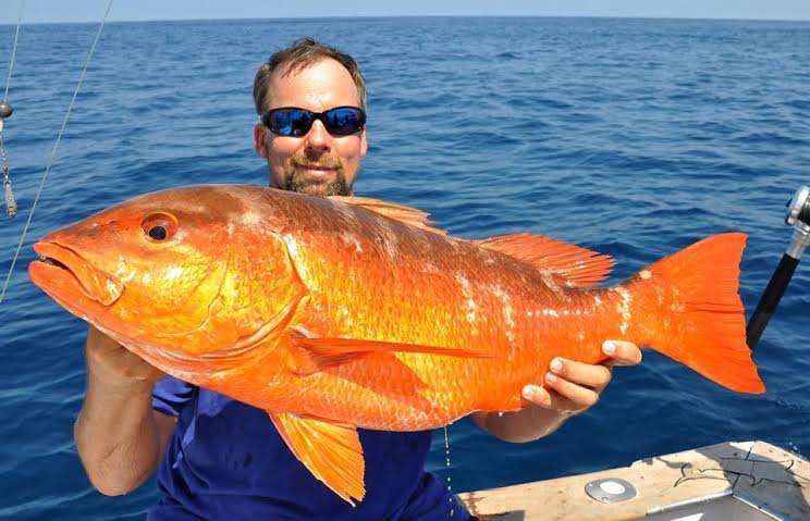Large red snapper caught sport fishing in Costa Rica