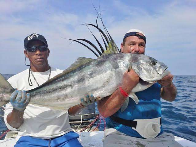 Angler holding a large roosterfish in Costa Rica