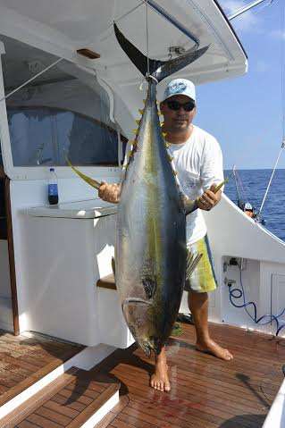 Large yellowfin tuna Costa Rica offshore fishing