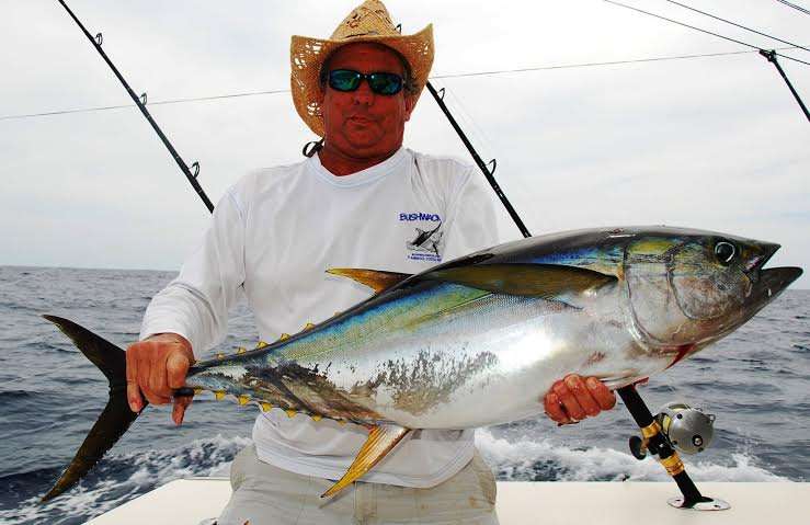 Yellowfin tuna fishing Costa Rica