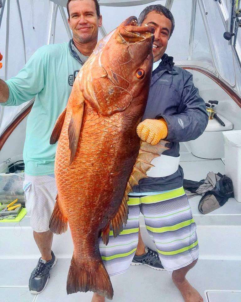 Large Cubera snapper caught while fishing Los Sueños Costa Rica