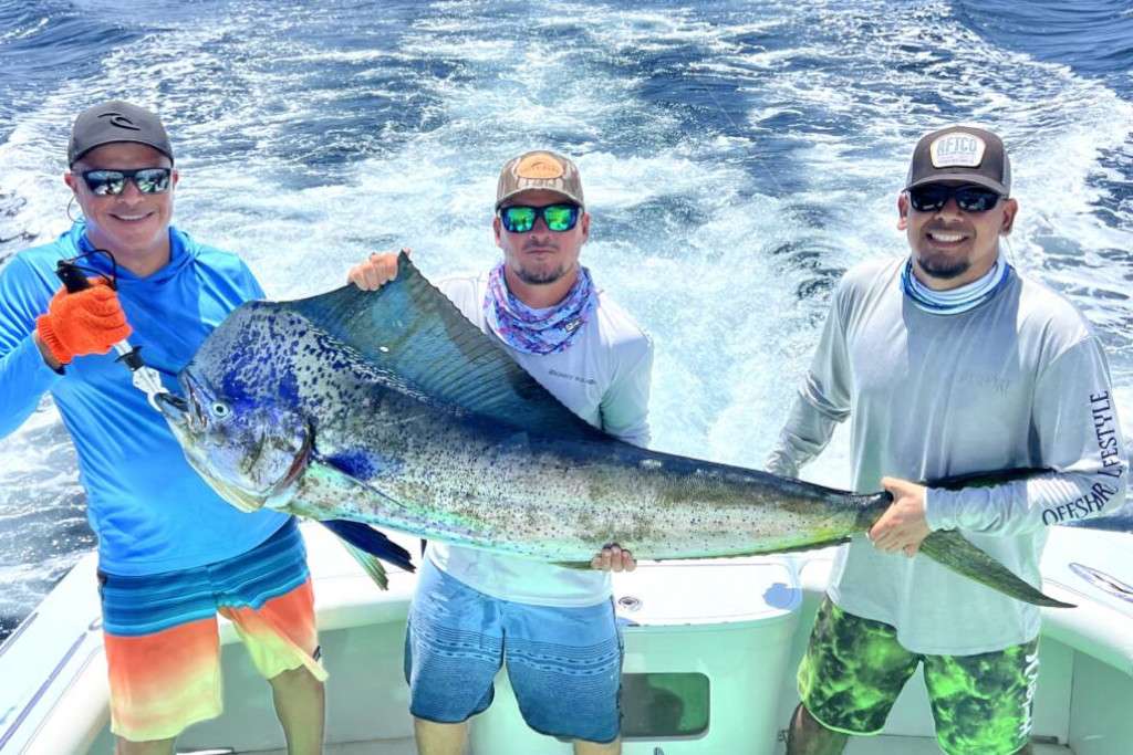 Mahi mahi fishing aboard Reckless Costa Rica