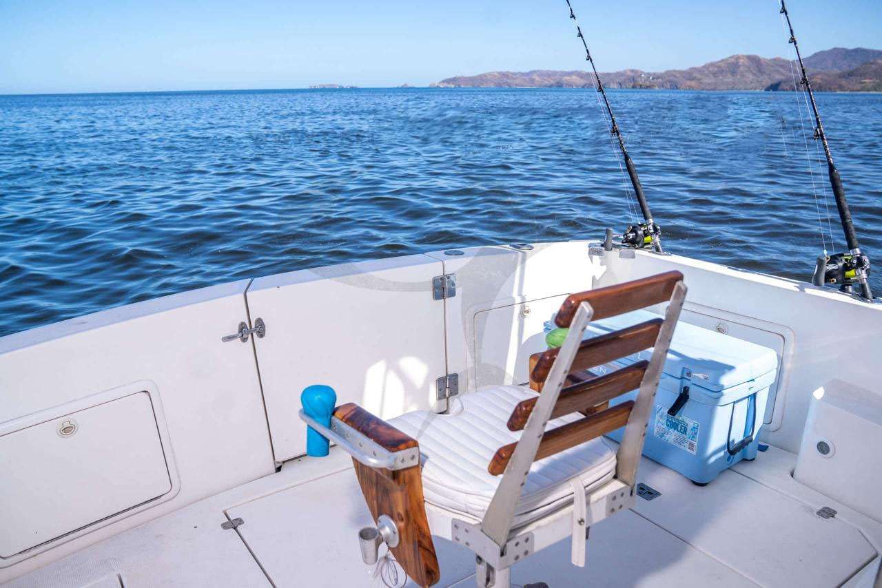 Fishing cockpit La Luna Playa Flamingo