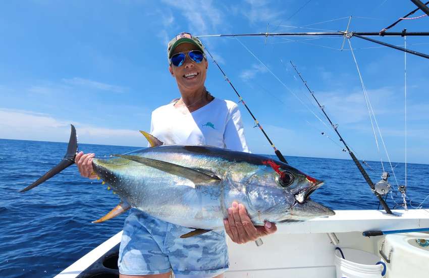 Sailfish and tuna catch aboard Big Eye II