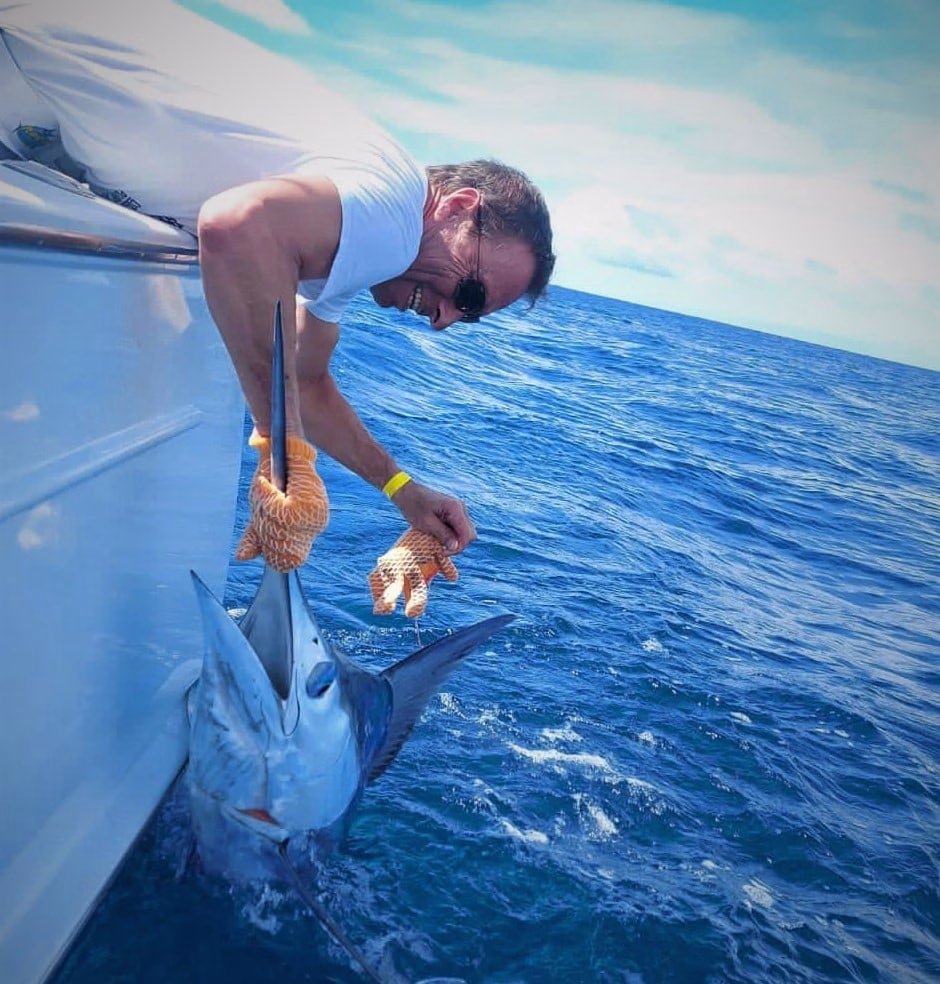 Blue marlin caught at offshore FADs in Costa Rica