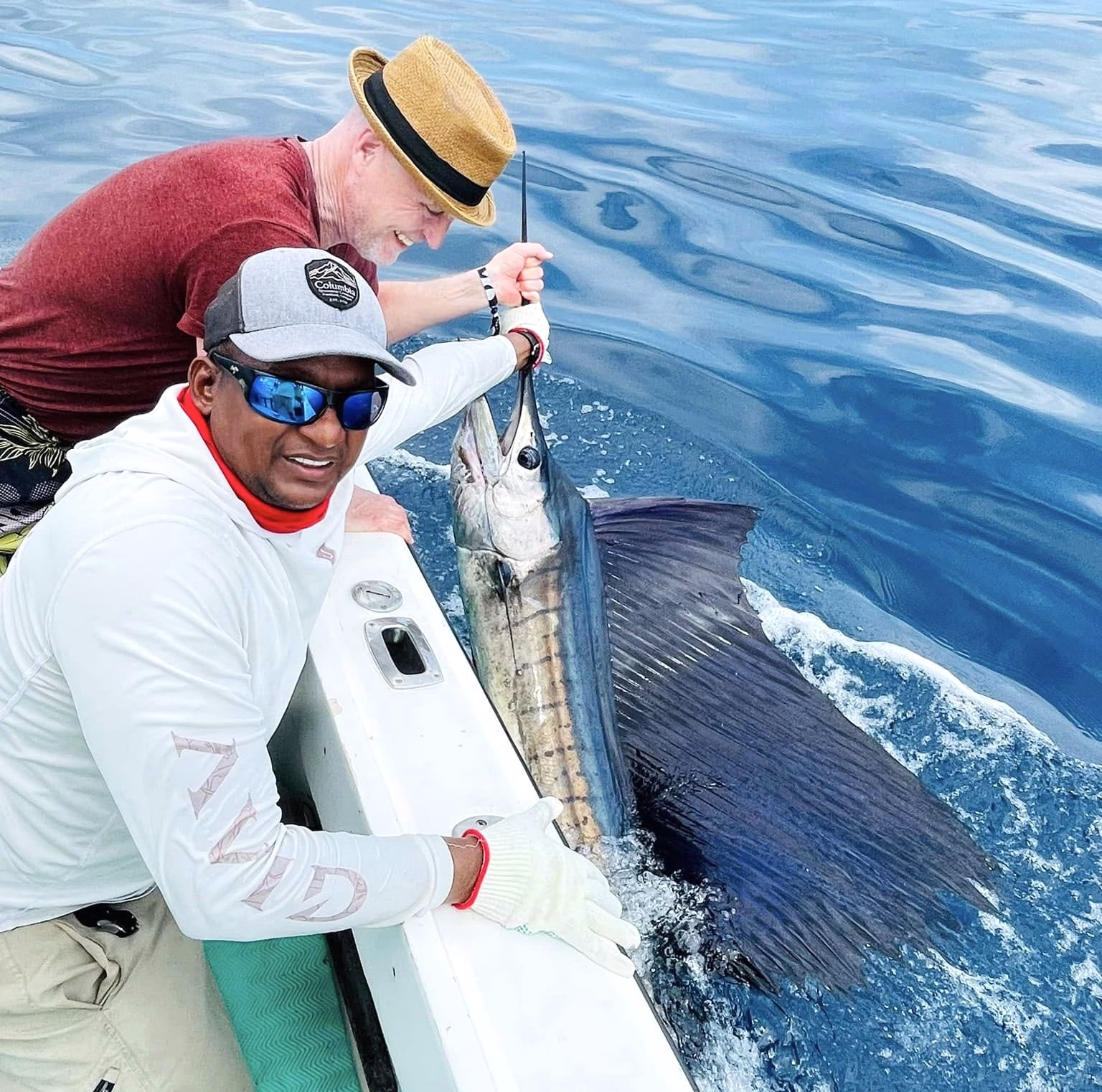 Close-up view of a Pacific sailfish bill and eye