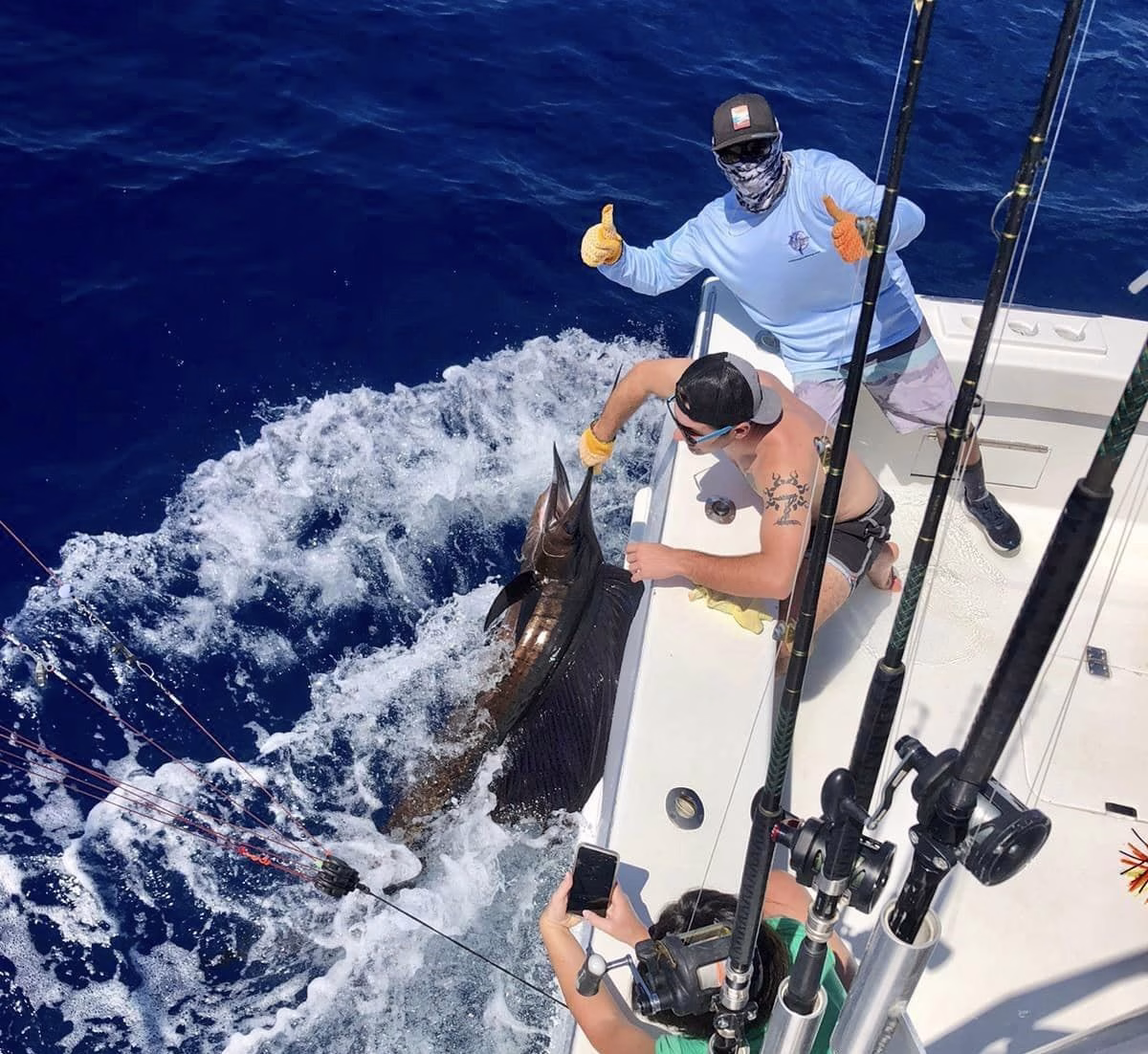 Deckhand handling sailfish during a Costa Rica fishing charter